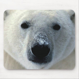 Tapis De Souris Ours polaire