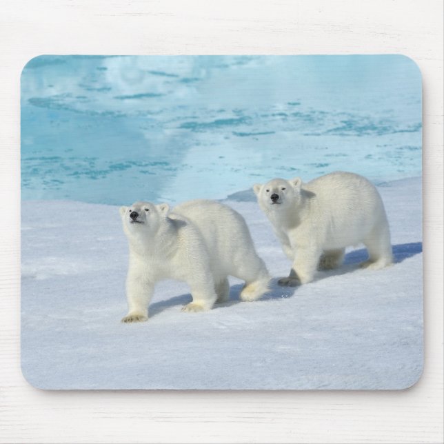 Tapis De Souris Ours polaire, deux tasses sur glace, Ursus (Devant)