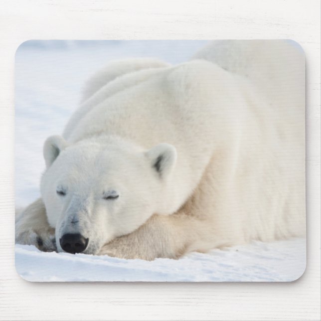 Tapis De Souris Ours polaire en hiver (Devant)