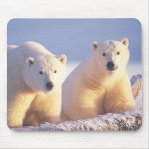 Tapis De Souris Ours polaire femelle avec ourson sur la banquise