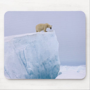 Tapis De Souris ours polaire, Ursus maritimus