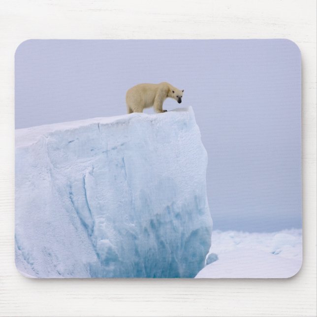 Tapis De Souris ours polaire, Ursus maritimus (Devant)