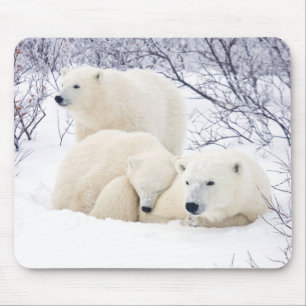Tapis De Souris Ours polaires femelle et deux oursons 3