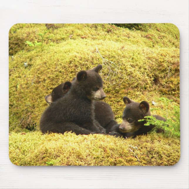 Tapis de souris Oursons d'ours noir (Devant)
