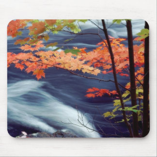 Tapis De Souris Oxlanguage River, Ontario, Canada