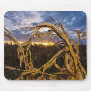 Tapis De Souris Ozarks Harvest