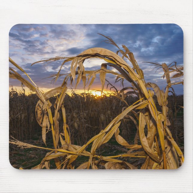 Tapis De Souris Ozarks Harvest (Devant)