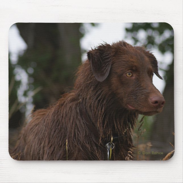 Tapis De Souris P2 Red Dog Sam Flatlandersam (Devant)