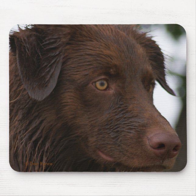 Tapis De Souris P2a Red Dog Sam Flatlandersam de près (Devant)