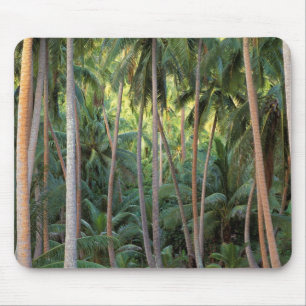 Tapis De Souris Pacifique Sud, Polynésie française, Bora Bora.