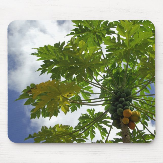 Tapis De Souris Pacifique Sud, Polynésie française, Moorea.2 (Devant)