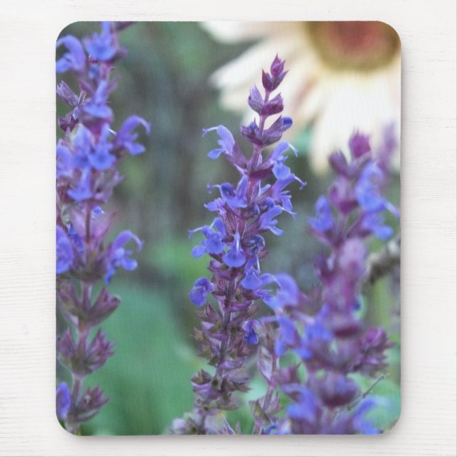 Tapis De Souris Pad à souris à salvia violette (Devant)