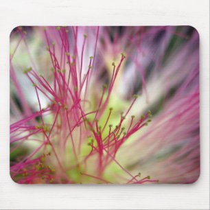 Tapis De Souris Pad de souris - Fleur d'arbre de soie (Arbre Mimos