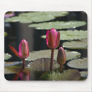 Tapis De Souris Pad de souris Nénuphars Lotus Rose