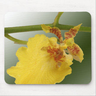 Tapis De Souris Pad de souris orchidée