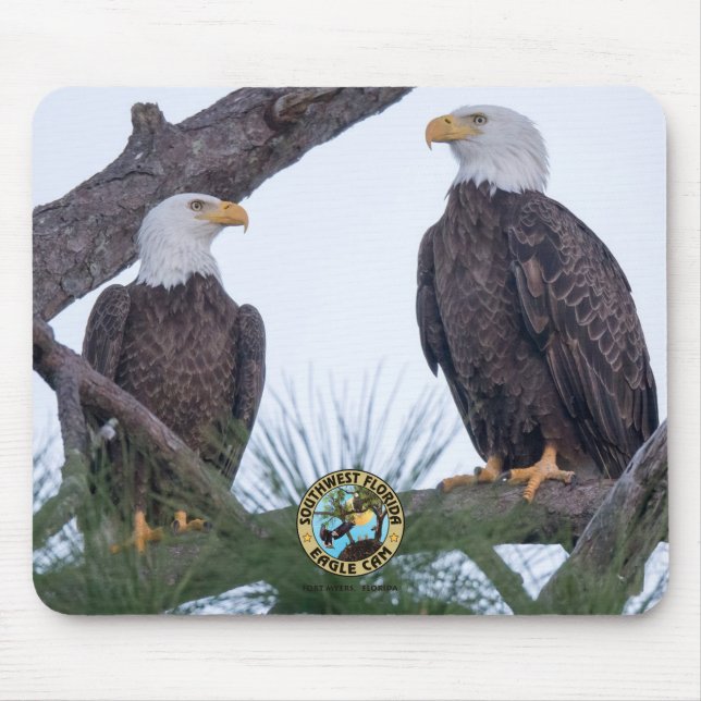 Tapis De Souris Pad de souris SWFL Eagle Cam (Devant)