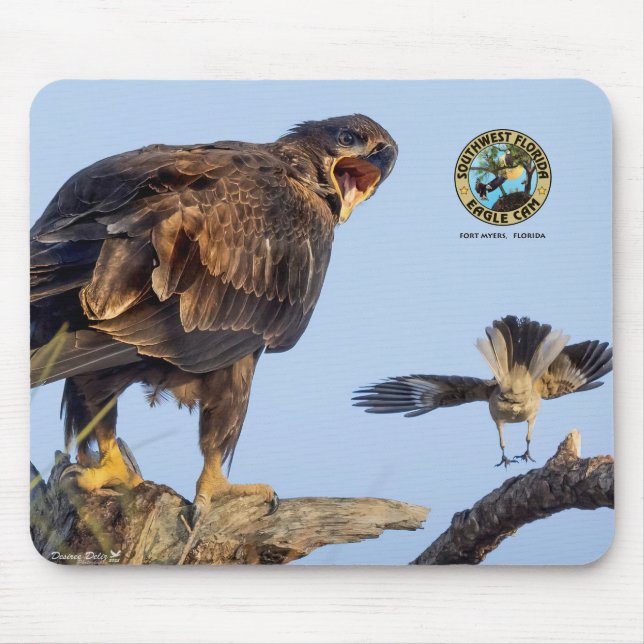 Tapis De Souris Pad de souris SWFL Eagle Cam - E22 & Friend (Devant)