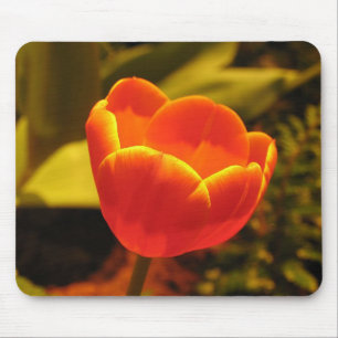 Tapis De Souris Pad de souris Tulip Orange