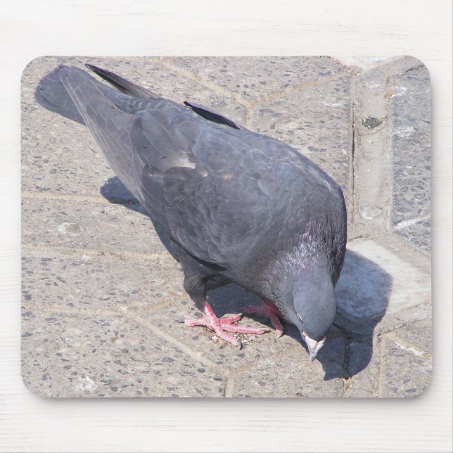 Tapis De Souris Pad d'oiseaux (Devant)