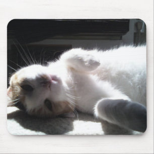Tapis De Souris Pad Souris Chat !
