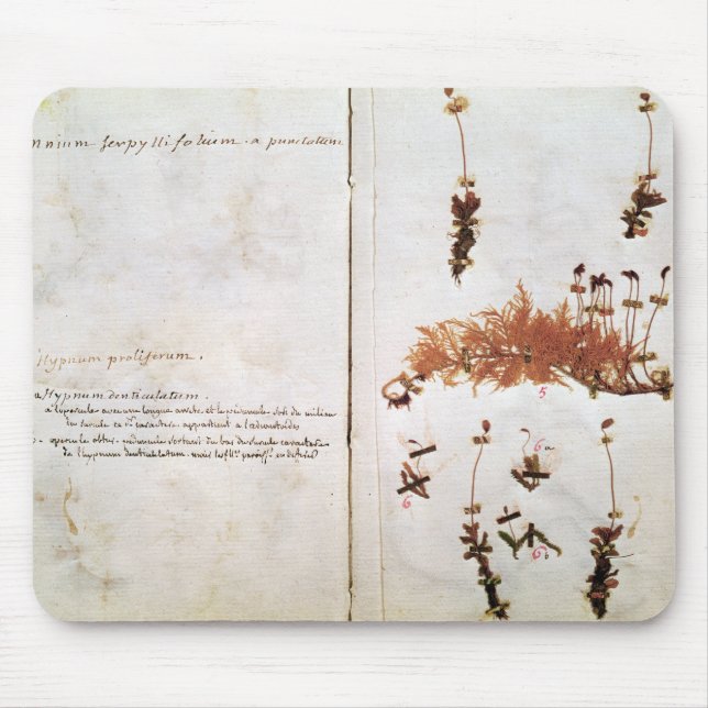 Tapis De Souris Page 15 d'un herbier (Devant)