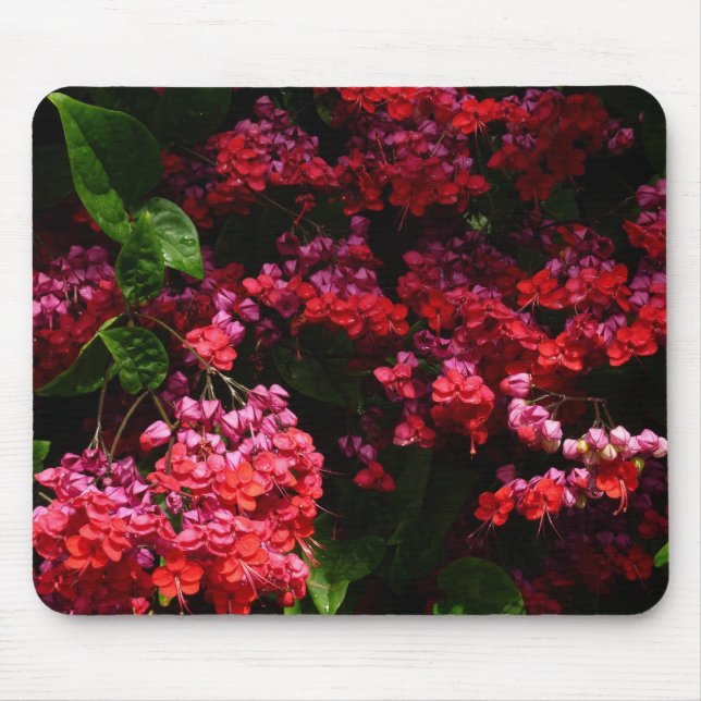Tapis De Souris Pagoda Flowers Colorful (Devant)