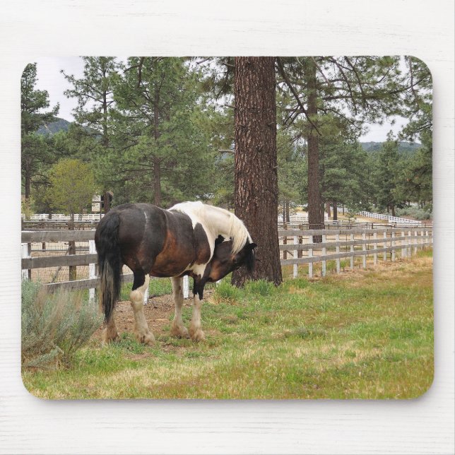 Tapis De Souris Paint Horse Mousepad (Devant)