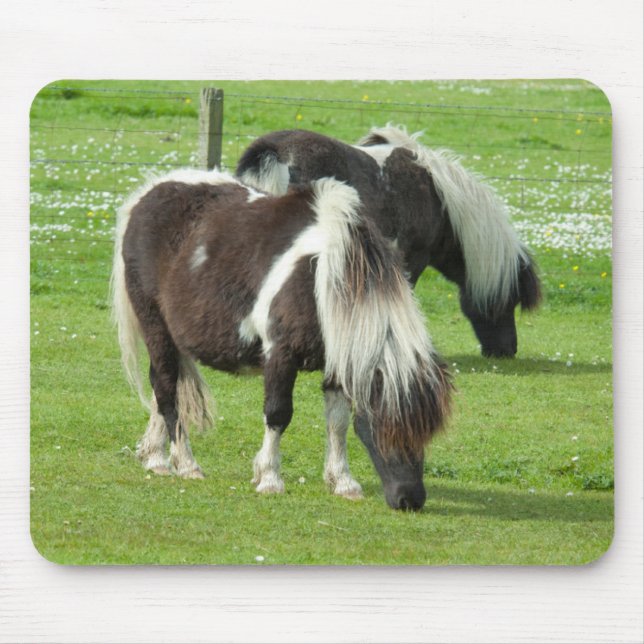 Tapis De Souris Paint Ponts Purebred Shetland (Devant)