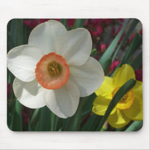 Tapis De Souris Pair of Daffodils Pink and Yellow Spring Flowers