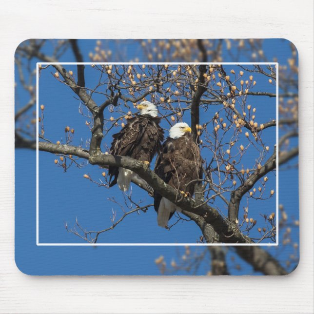 Tapis De Souris Paire d'aigle à tête blanche (Devant)