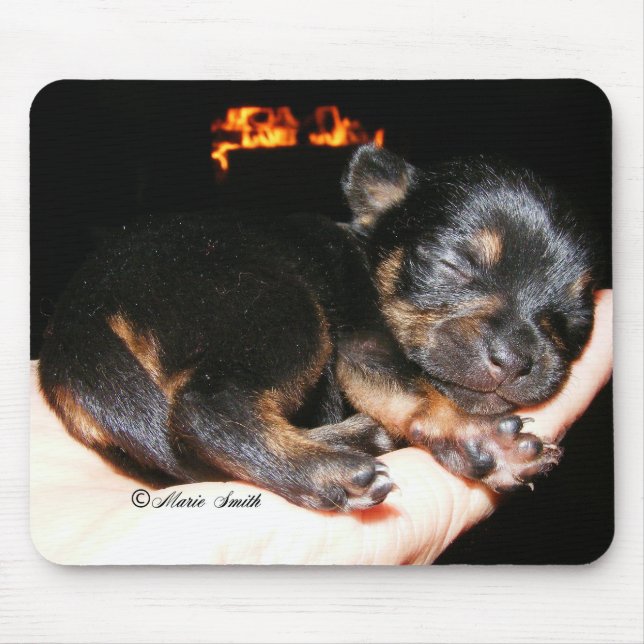 Tapis De Souris Paisley Marie 1 (Devant)