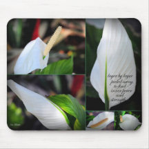 Paix et force intérieures