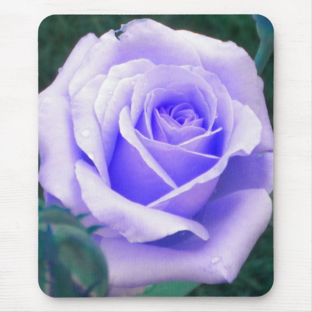Tapis De Souris Pale Lavender Rose (Devant)