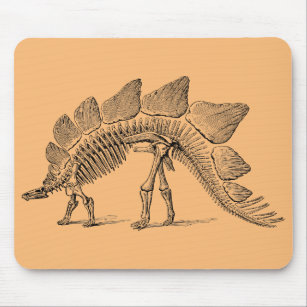 Tapis De Souris paléontologie fossile de dinosaure