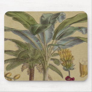 Tapis De Souris Palm Antique Fruit Tropical Art Botanique