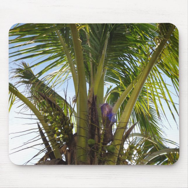 Tapis De Souris Palmes tropicales (Devant)
