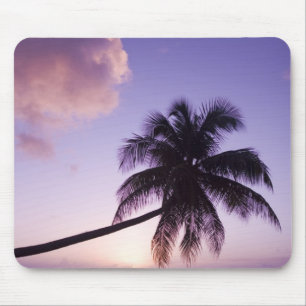 Tapis De Souris Palmier solitaire au coucher du soleil, plage de C