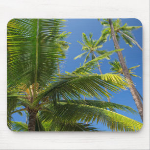 Tapis De Souris Palmiers à coco, Pu'uhonua o Honaunau 1