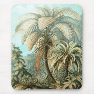 Tapis De Souris Palmiers de Haeckel