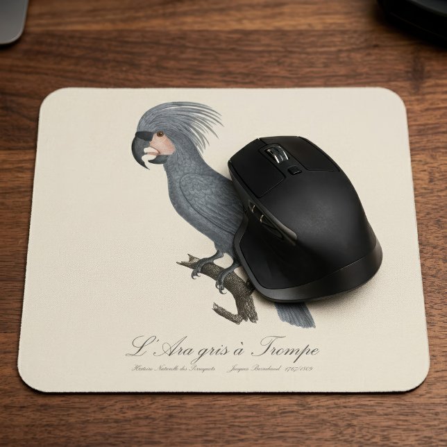 Tapis De Souris Palmiste noir, Probosciger aterrimus (Great Black Palm Cockatoo, Probosciger aterrimus. Mouse Pad)