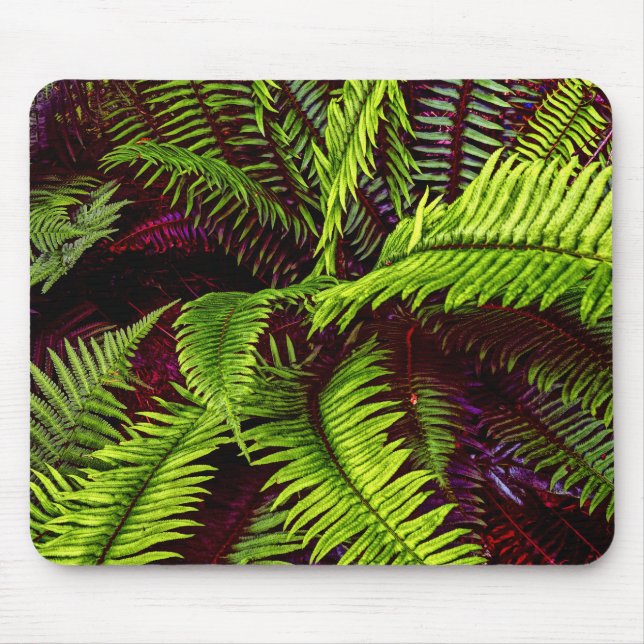 Tapis De Souris Palms 2 Mousepad (Devant)