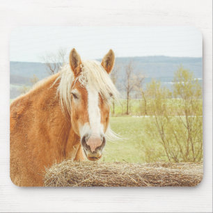 Tapis De Souris Palomino de la ferme Summer Breeze