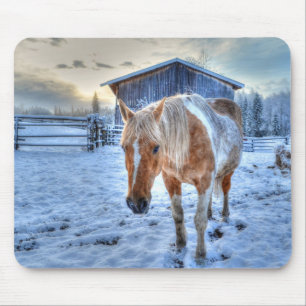 Tapis De Souris Palomino Paint Horse et Barn Equine Photographie