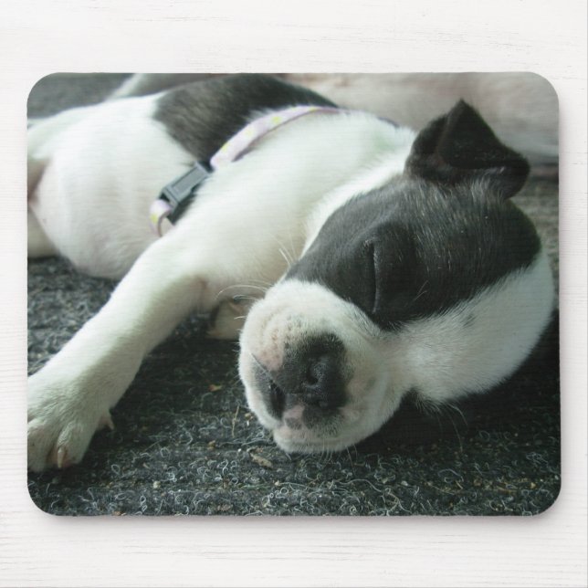 Tapis De Souris panda (Devant)