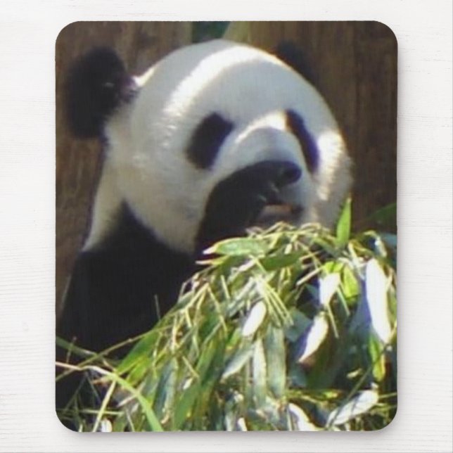 Tapis De Souris Panda (Devant)