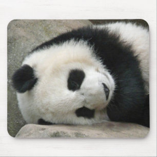 Tapis De Souris Panda