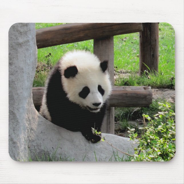 Tapis De Souris Panda bébé (Devant)
