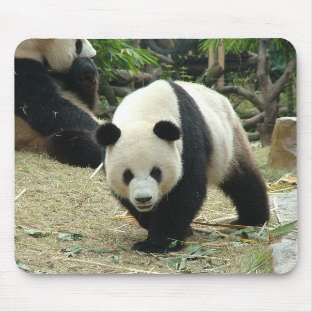 Tapis De Souris Panda géant (Devant)