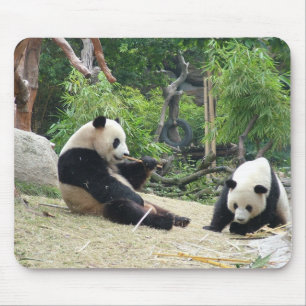 Tapis De Souris Panda géant