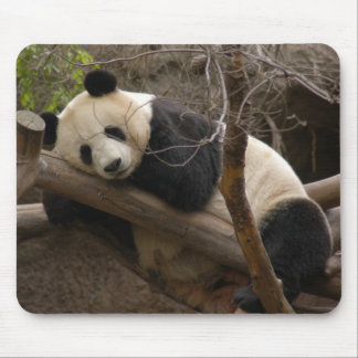 Tapis De Souris Panda géant Mousepad d'ours panda et de bébé